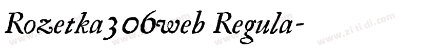 Rozetka306web Regula字体转换